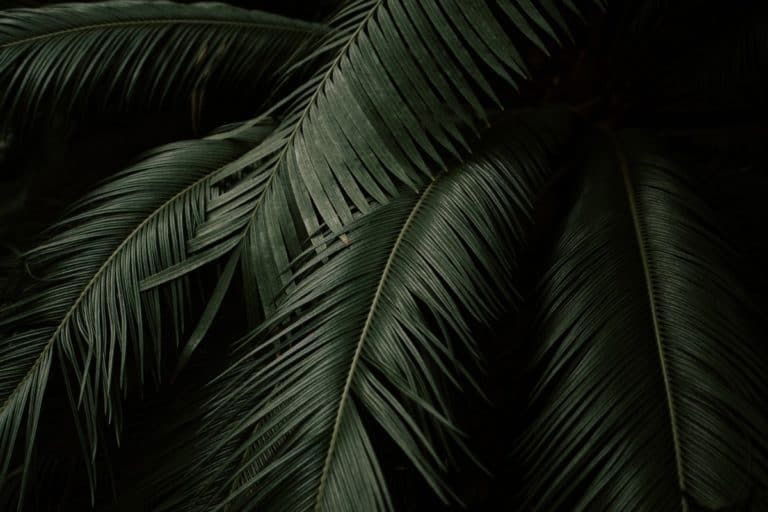 xxathenaxxx profile banner