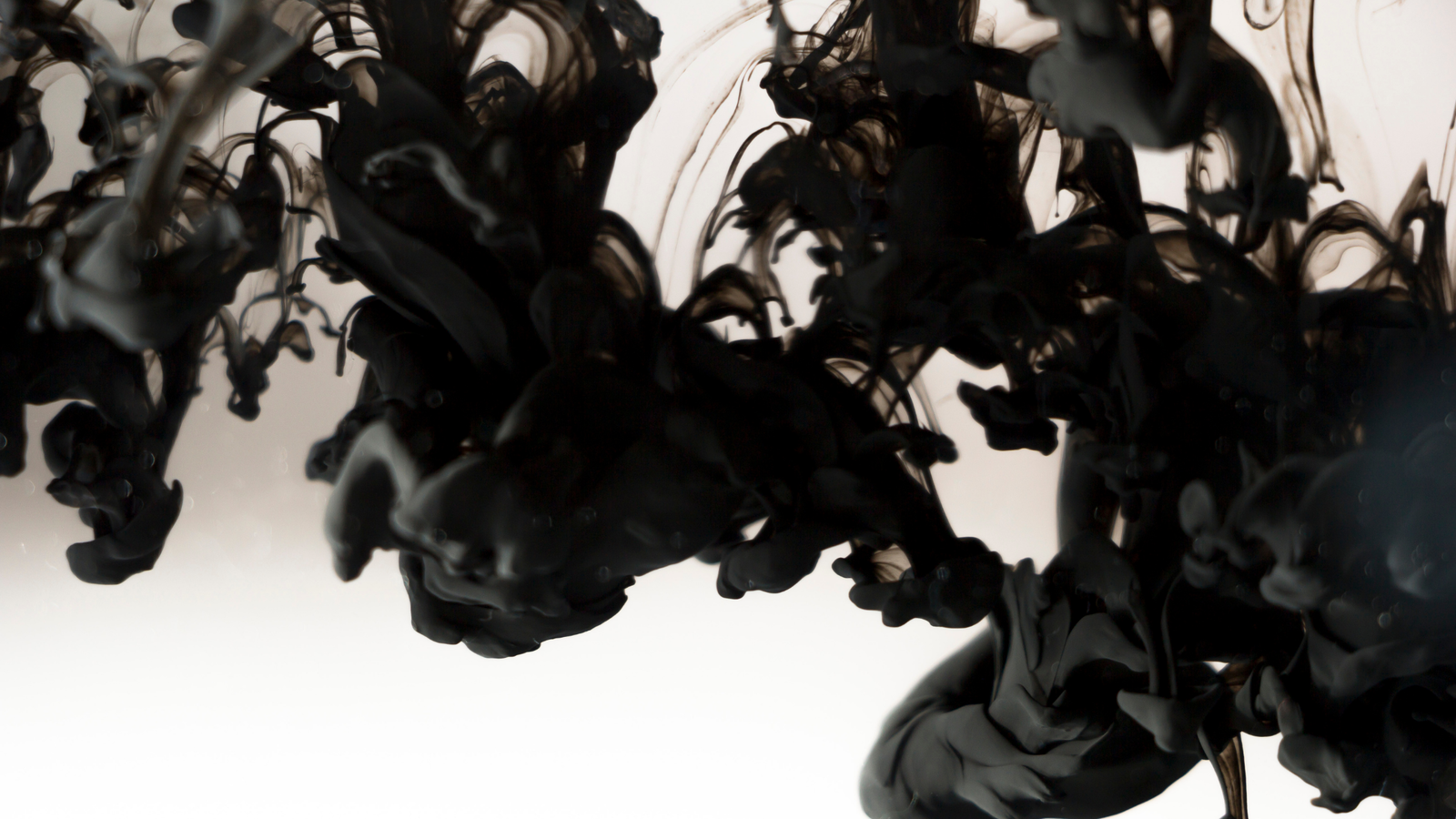xxDatJaneDoexx profile banner