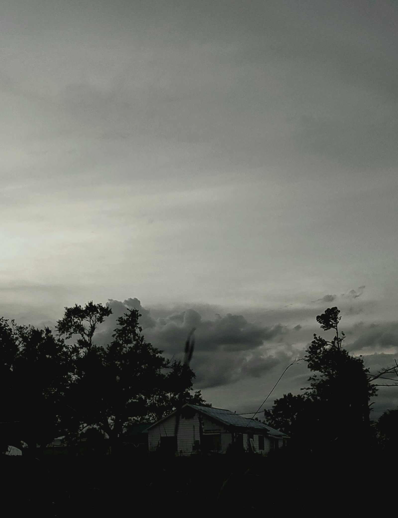 Alora Lane profile banner