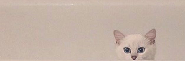 Baylee π profile banner