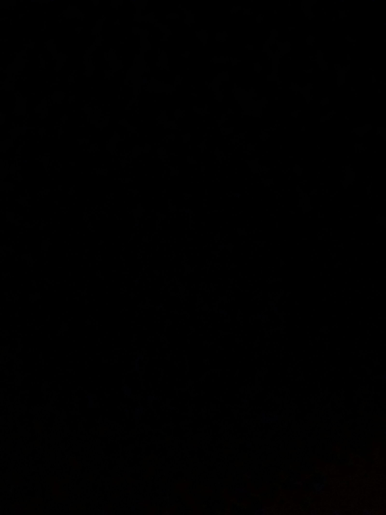 Talia profile banner