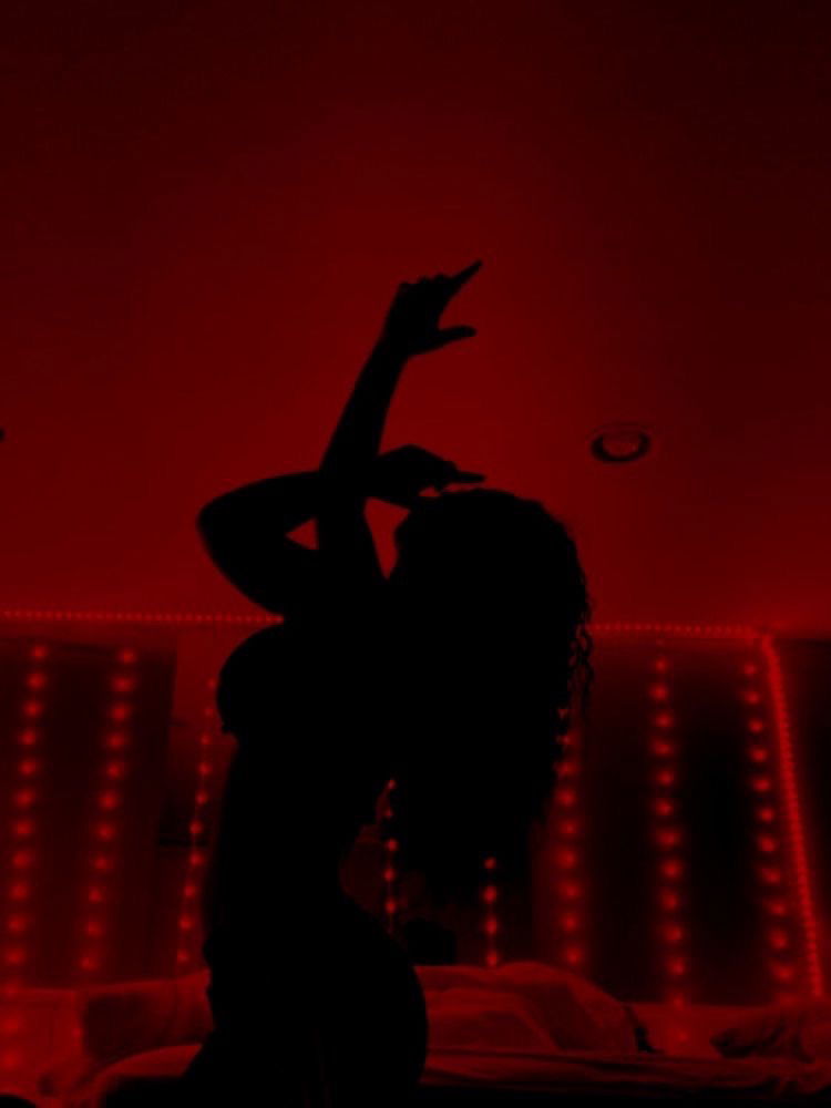 Exotica profile banner