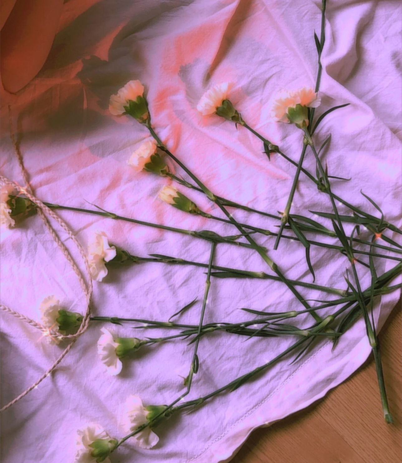 y2kdreamxoxo banner