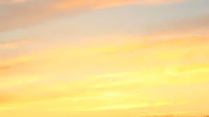 Ya gorl profile banner