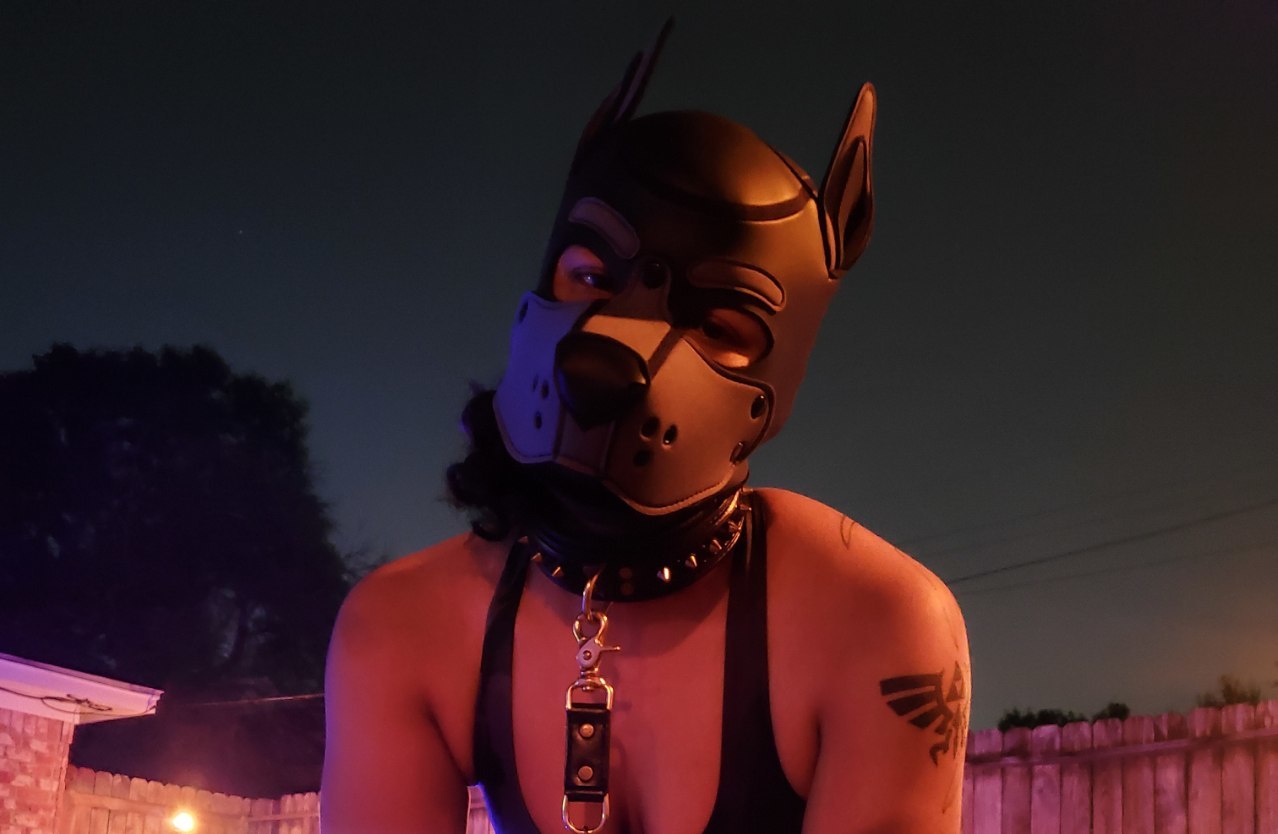Yeen Pup Bean profile banner