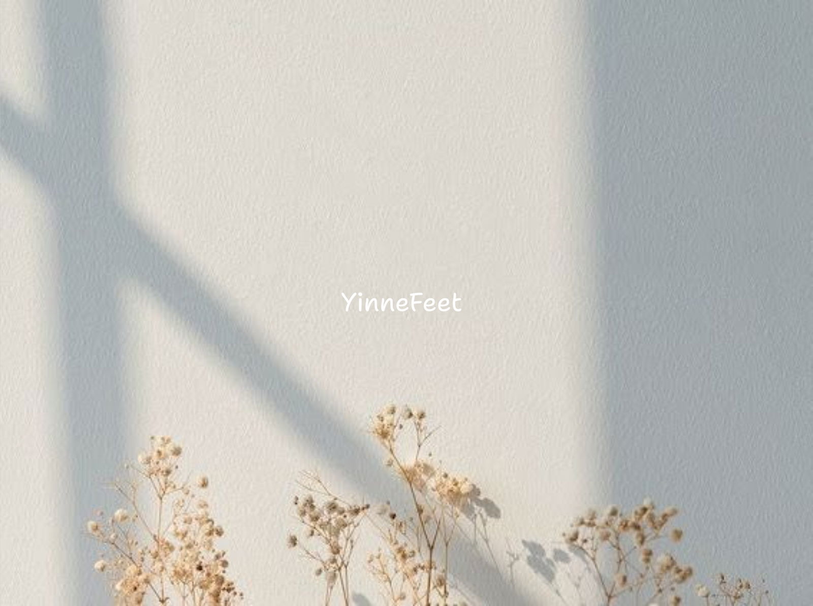 YinneFeet profile banner