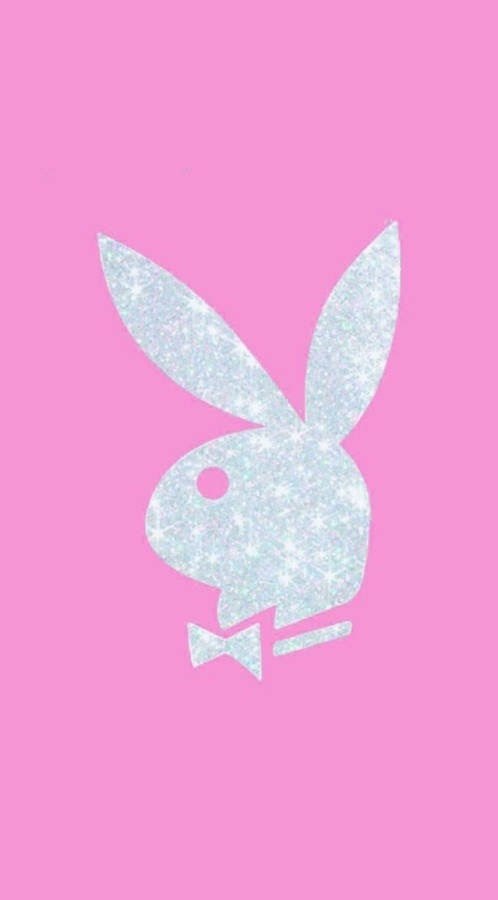 Pretty_behavior profile banner