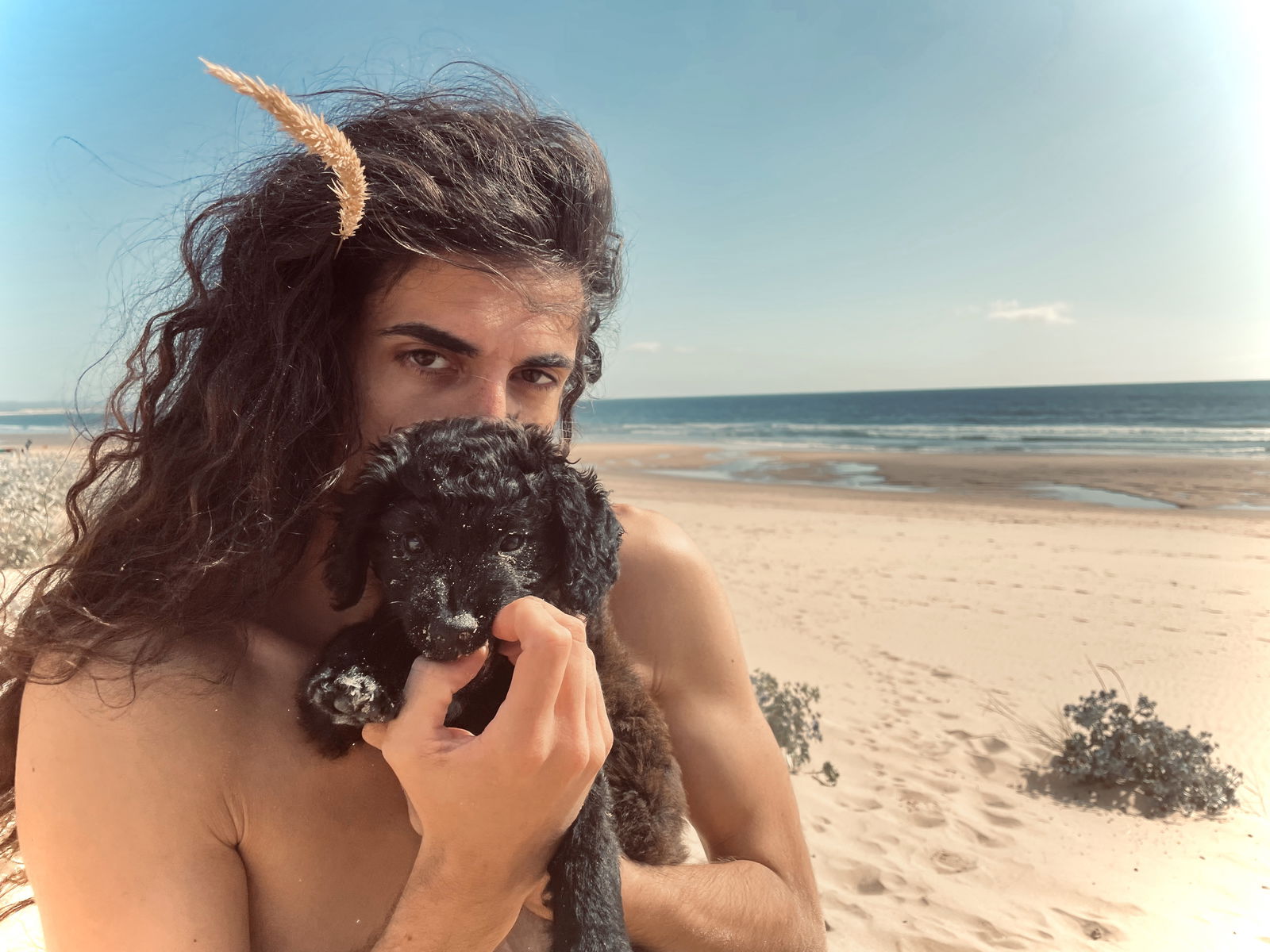 Tarzan profile banner