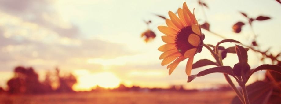 Your_secret_side_chick profile banner