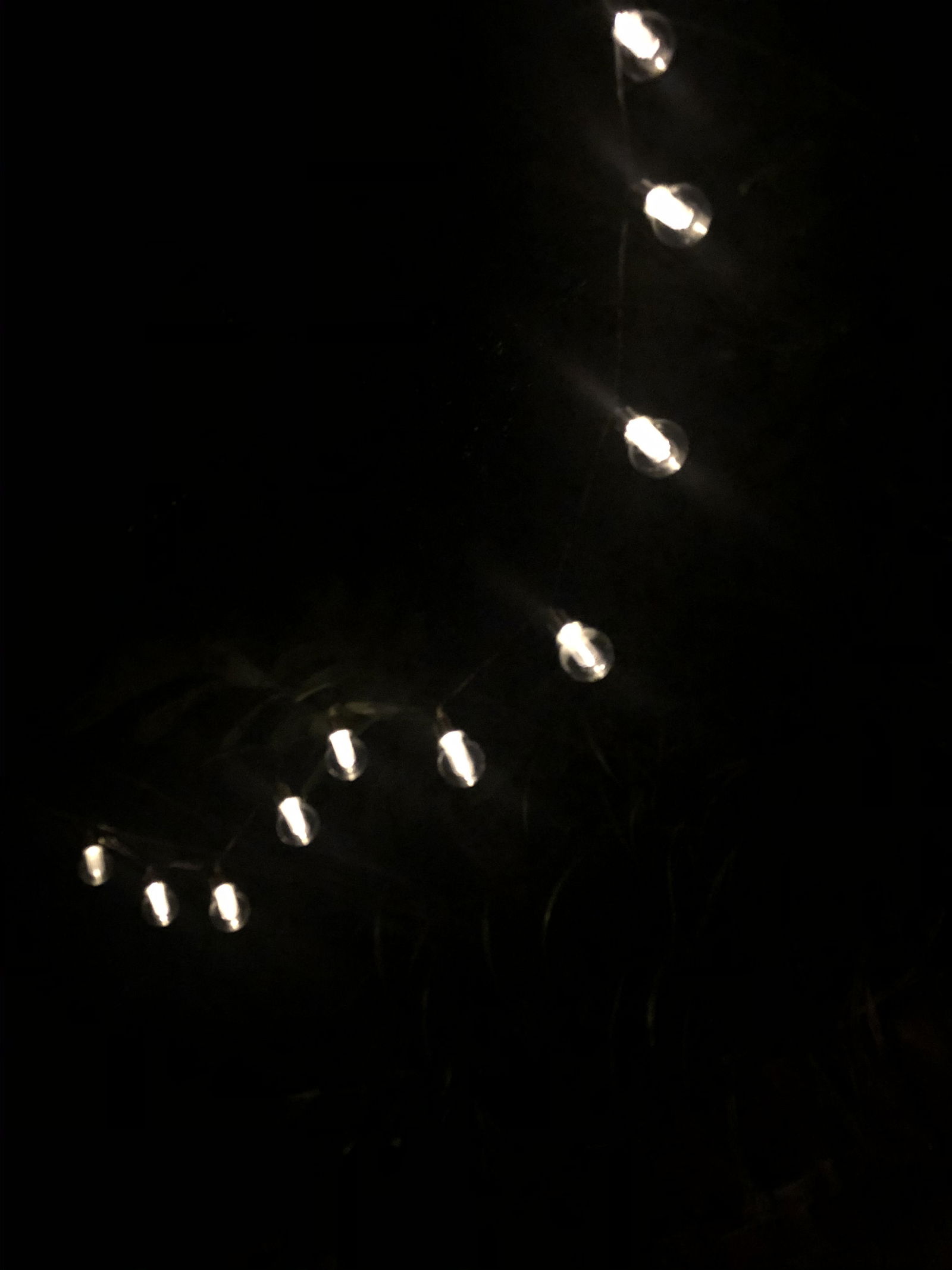 Hattie profile banner