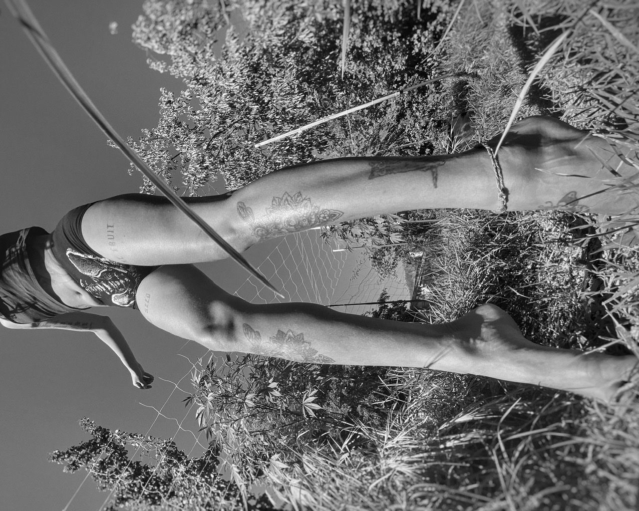 zatty long legs profile banner