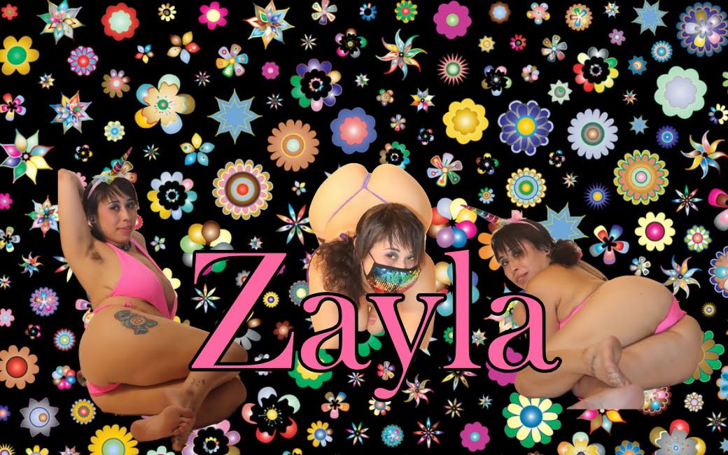 ZDK profile banner