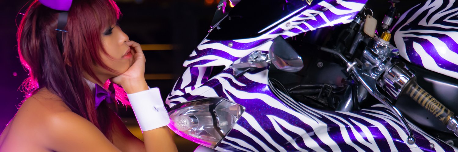 zebra_zx10r banner