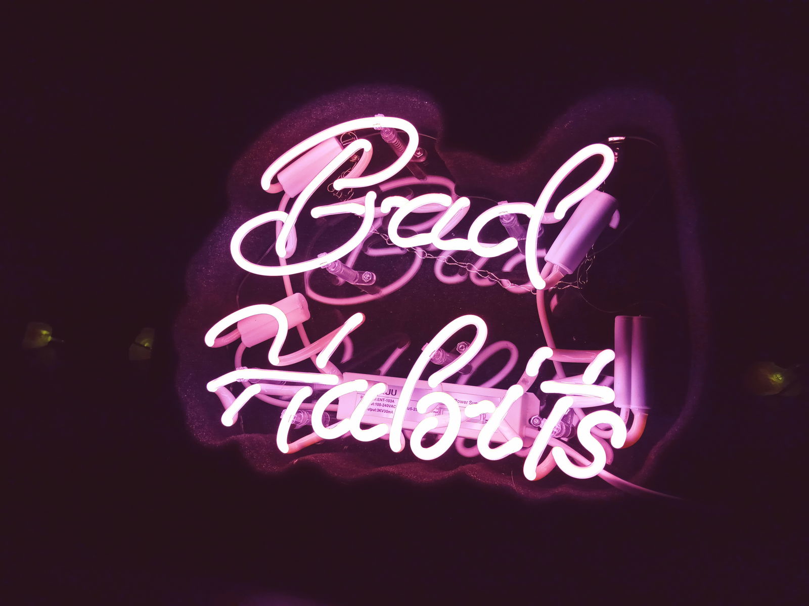 Zodiac Fox profile banner