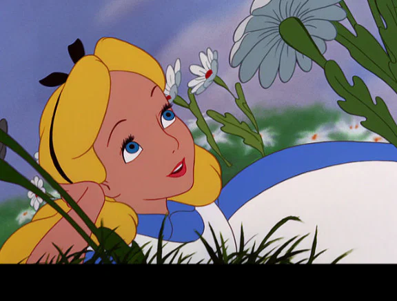 Panda in Wonderland profile banner