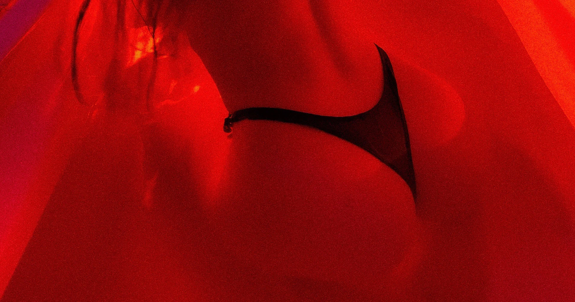 Elle profile banner