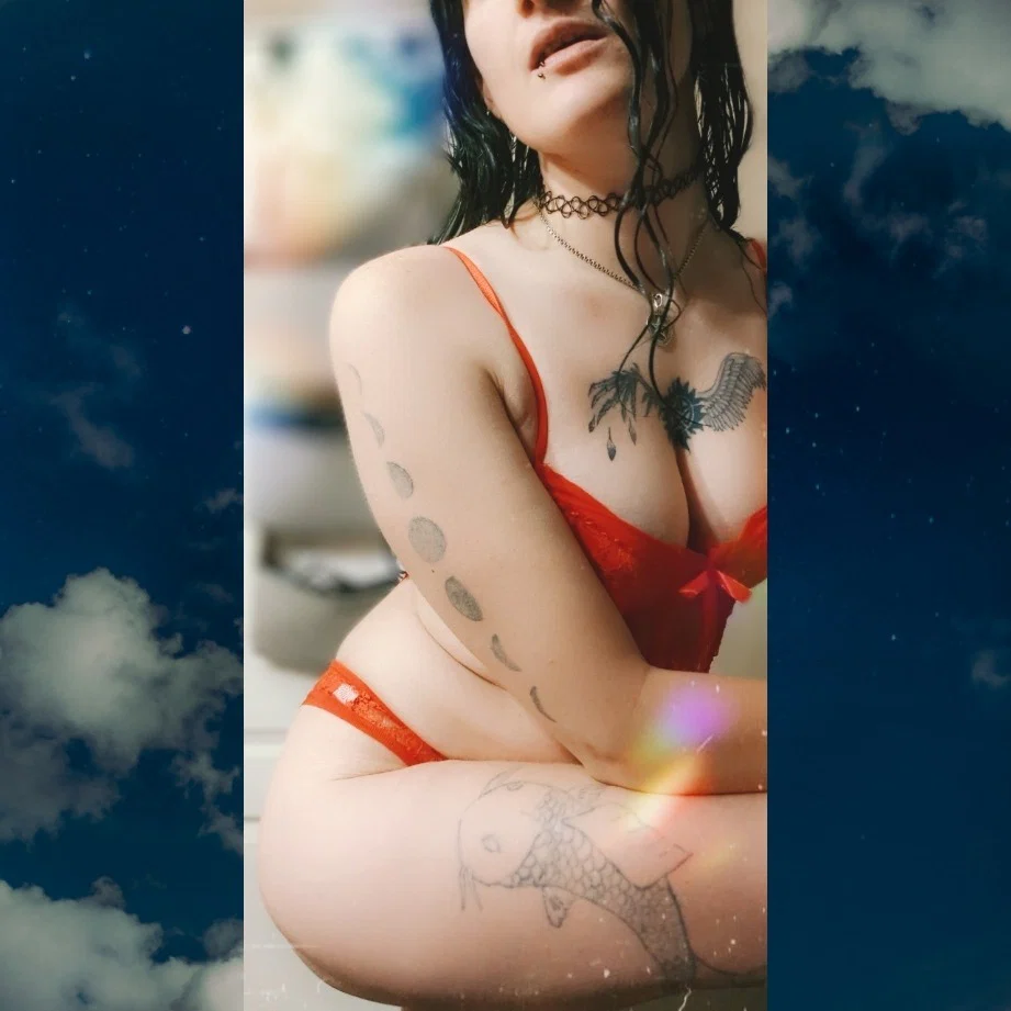 Wild Willow's avatar