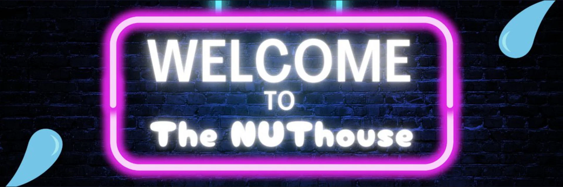 π The NUThouse POV π₯ profile banner