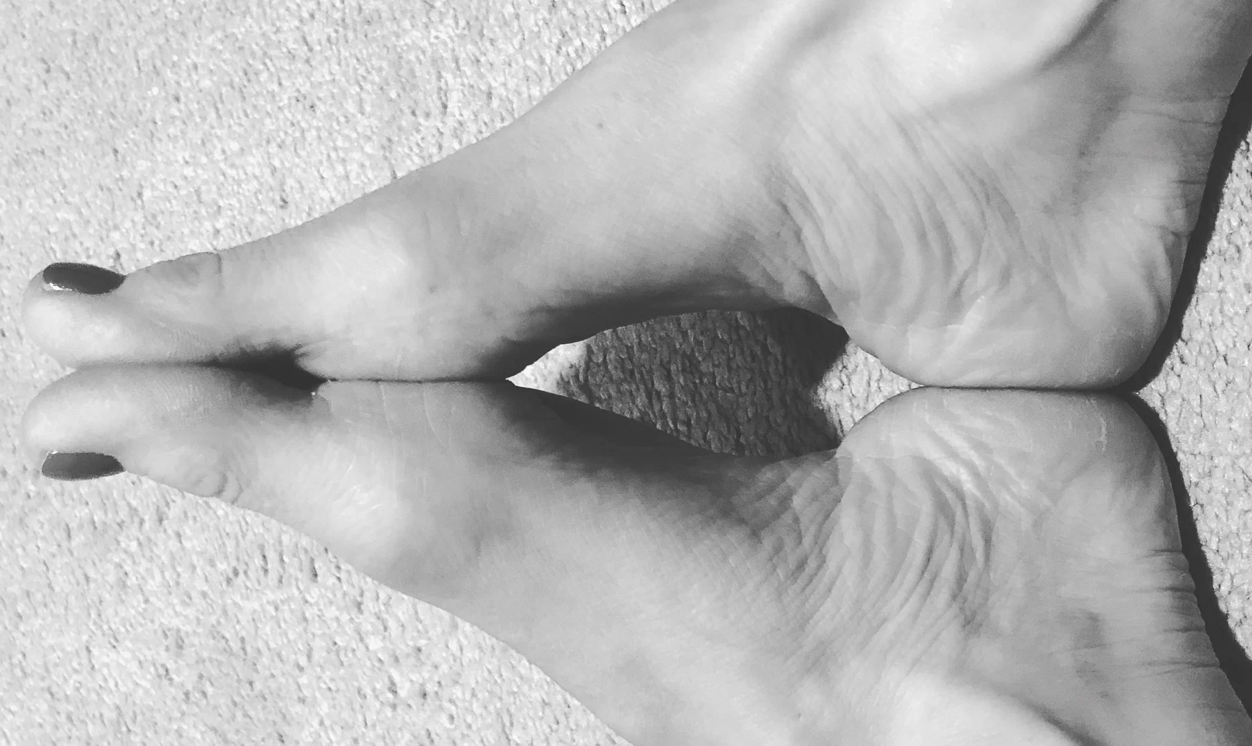 Candy Arches profile banner