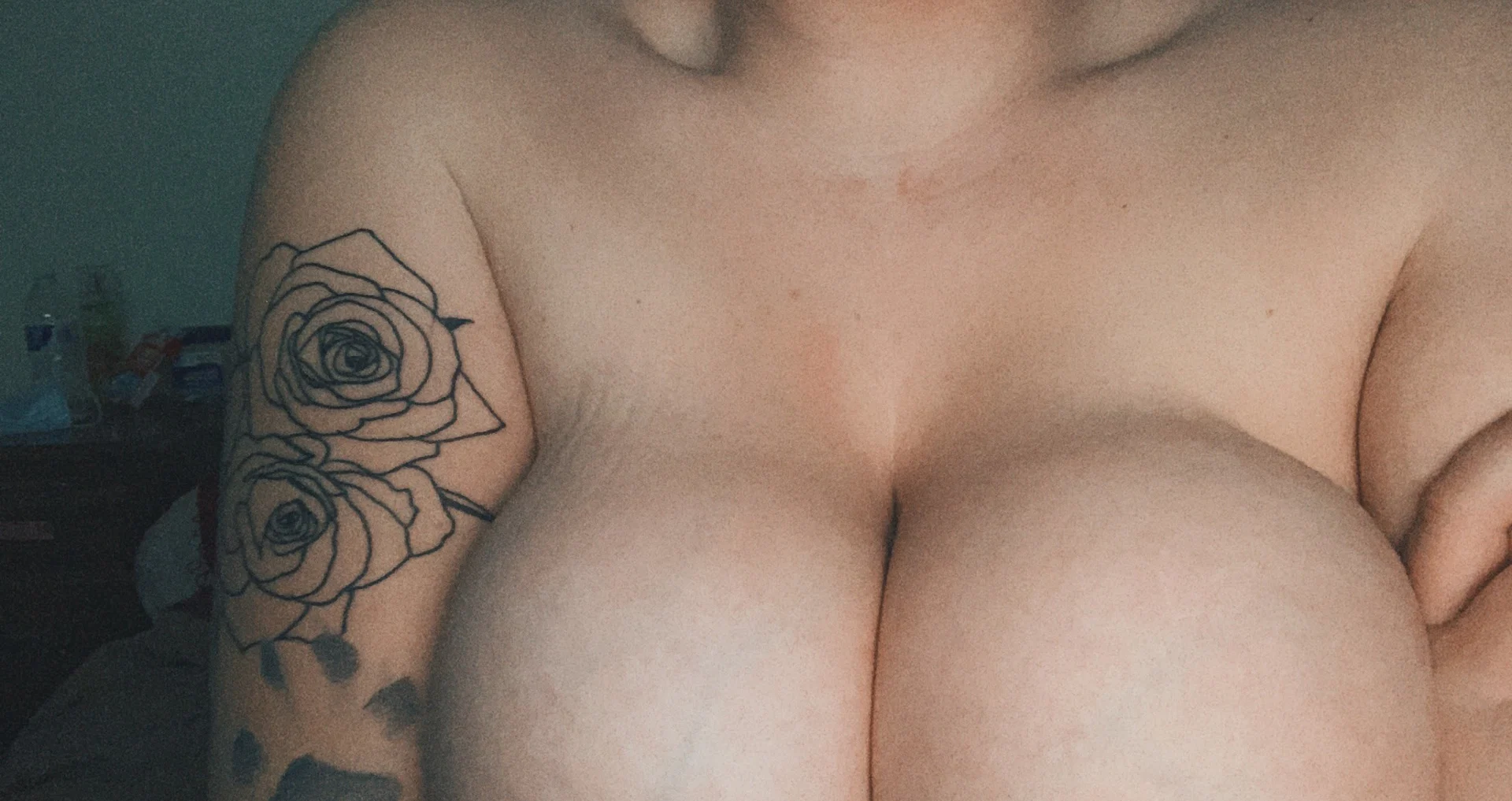 Katelynn Sementelli profile banner