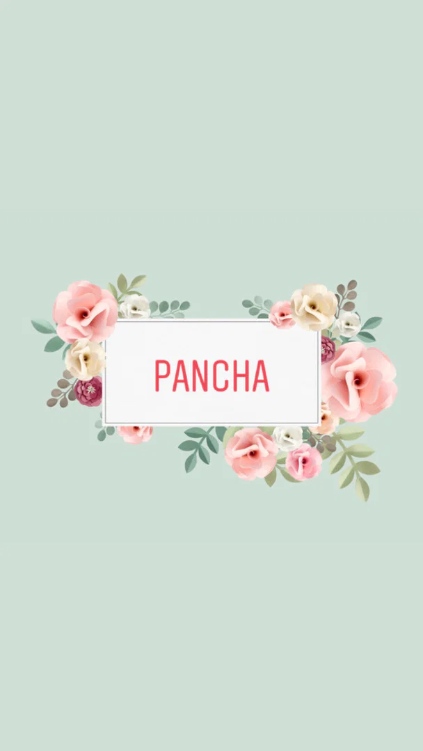 Pancha π profile banner