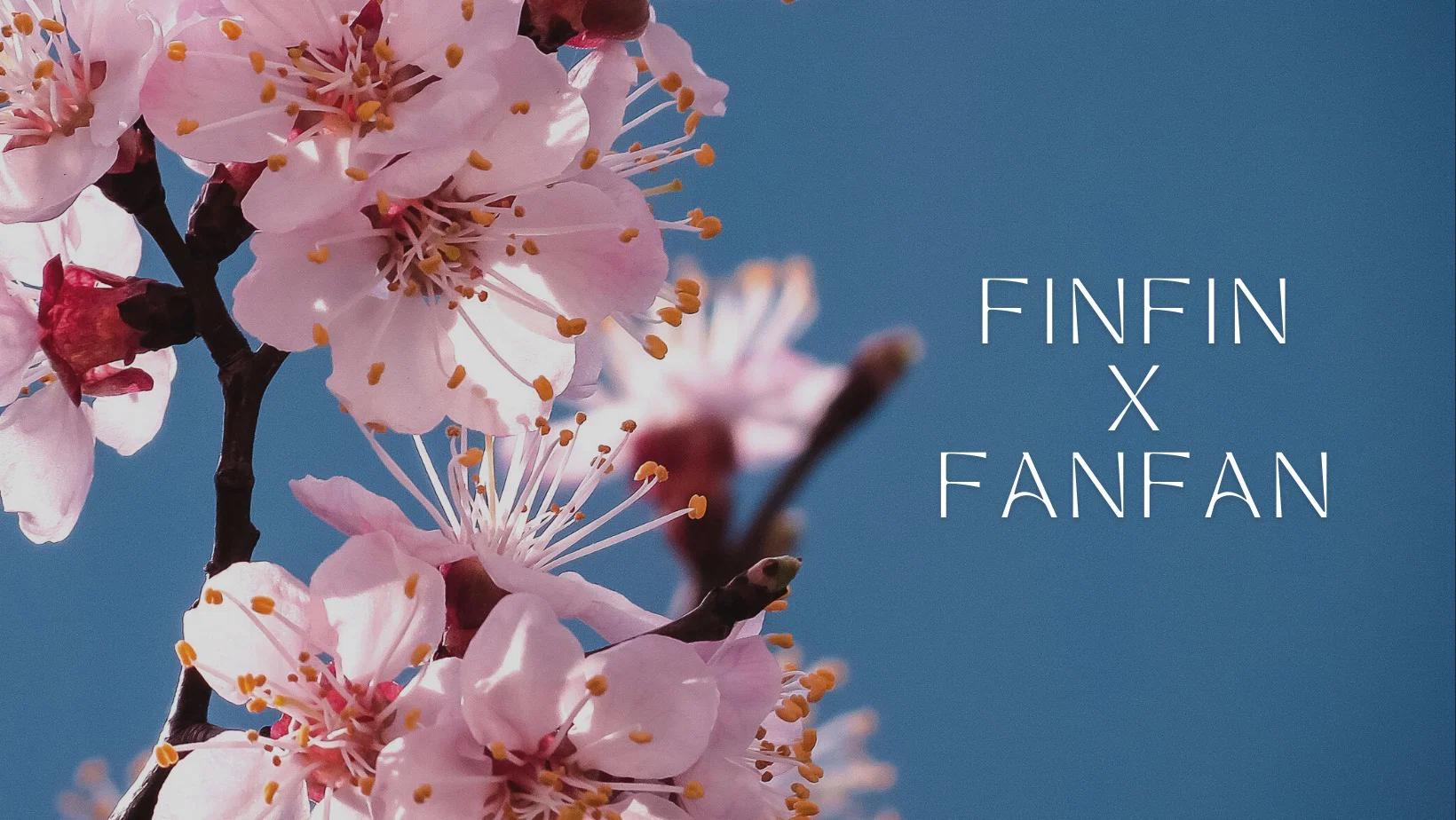 finfinxfanfan profile banner