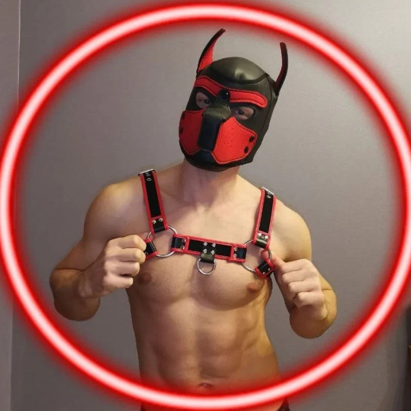 Digiron Pup's avatar
