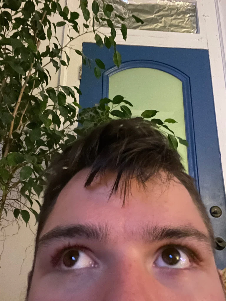 Caleb (Champ)'s avatar