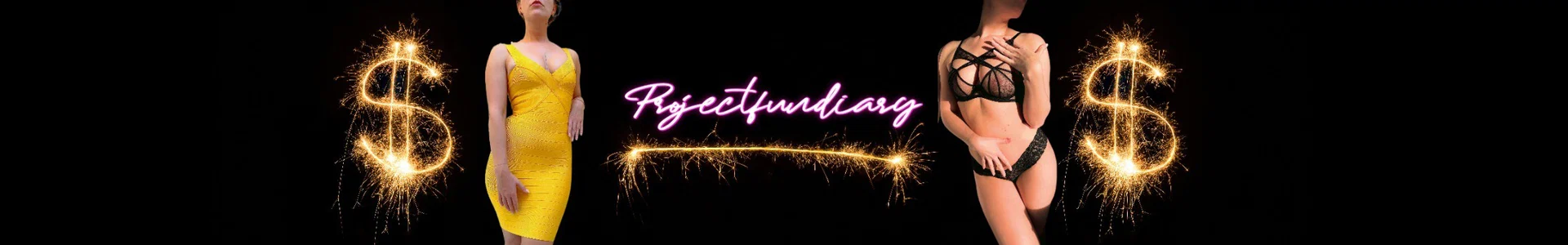 projectfundiary profile banner