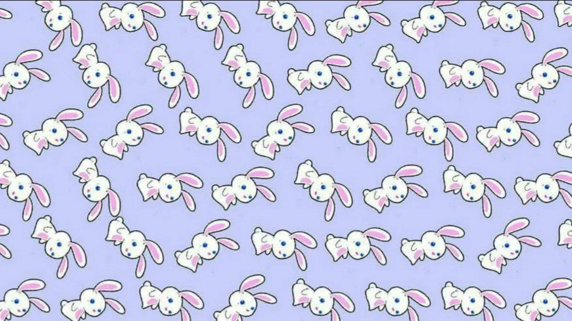 rabbit and lady profile banner