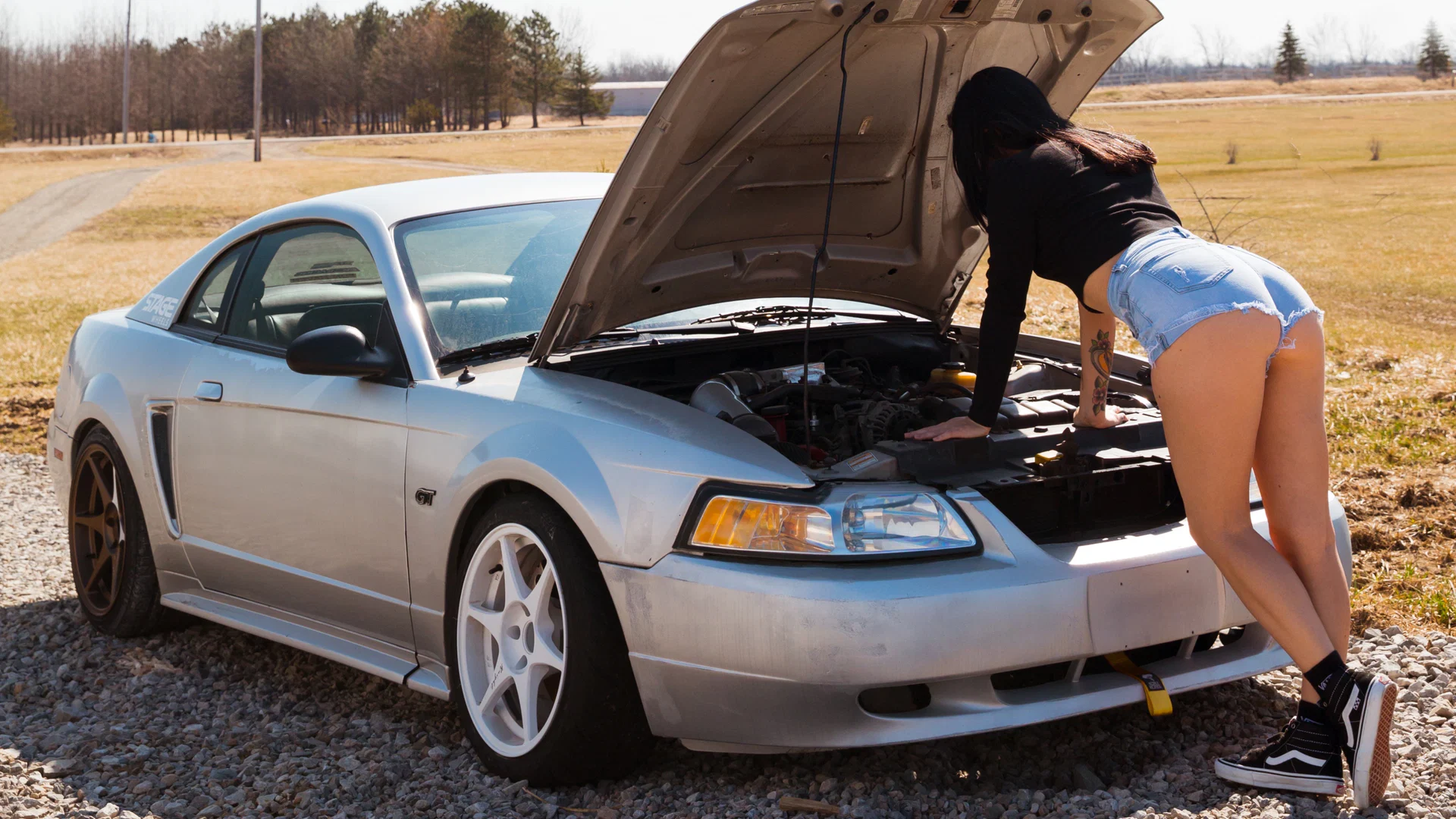 miss_stang profile banner