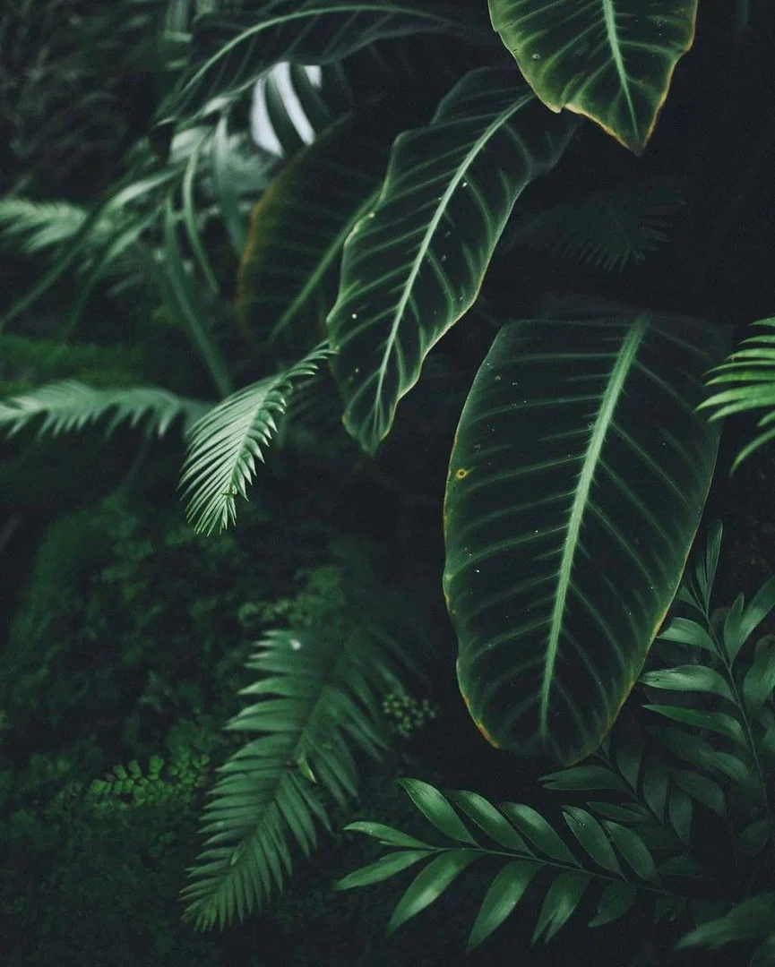 Alexiss_i profile banner