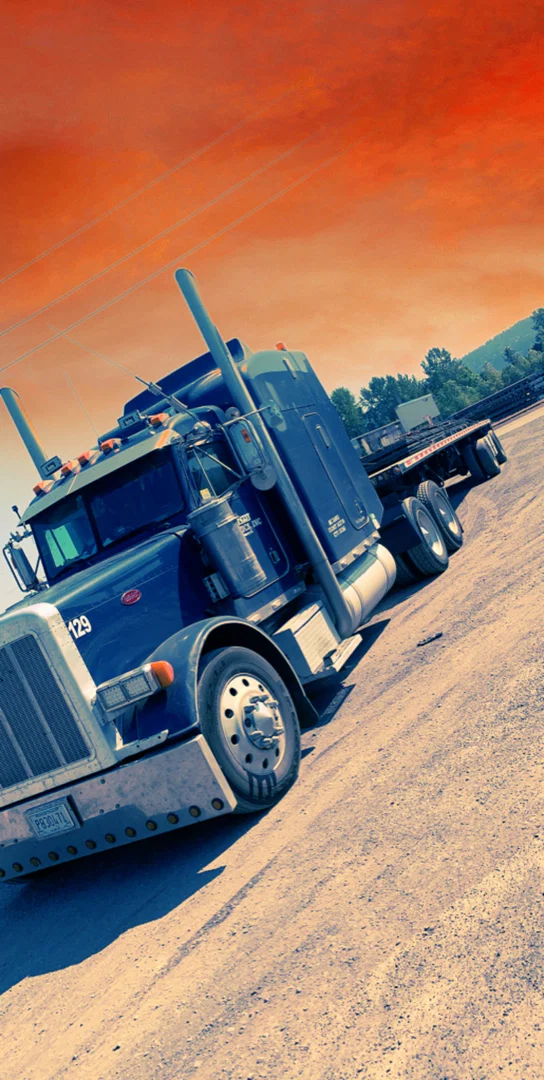 Pup CJ profile banner