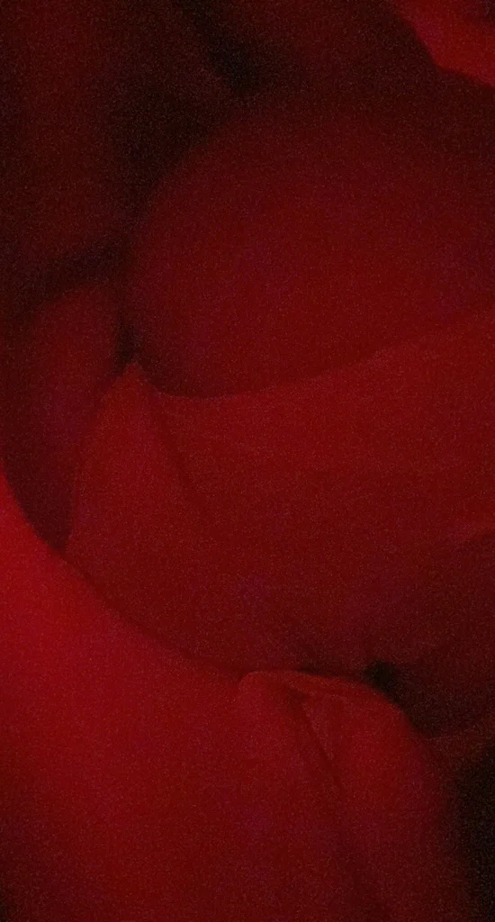 Lyss's avatar