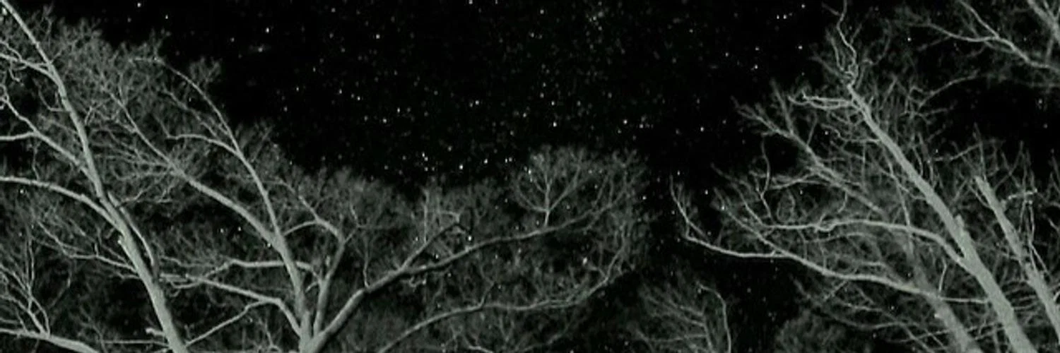 Max Bangor profile banner