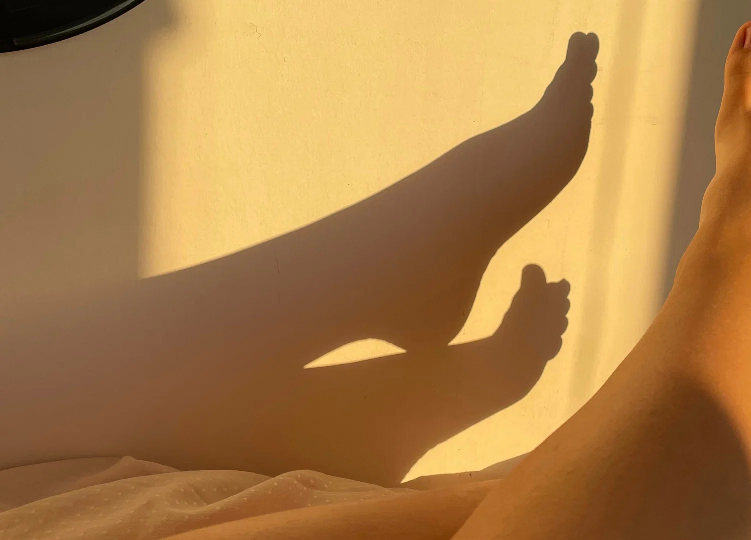 Růženka profile banner