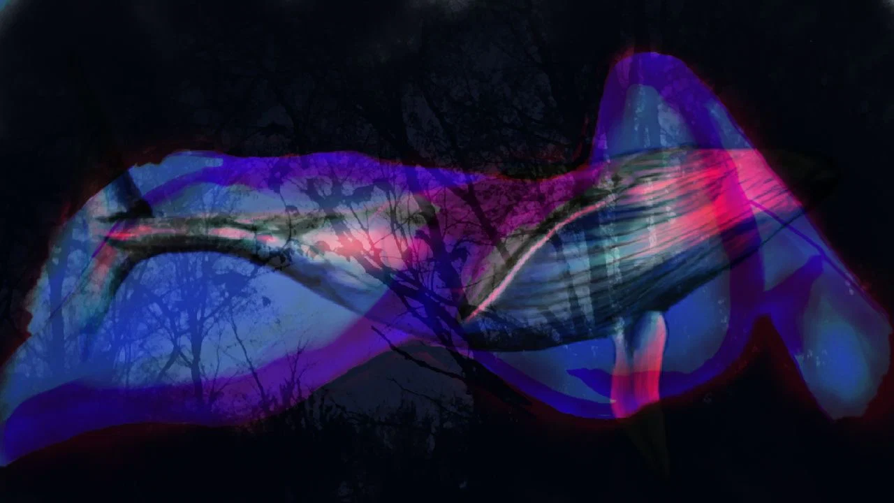 ππππππππππ profile banner