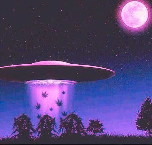 TheReasonYouFap Returns profile banner