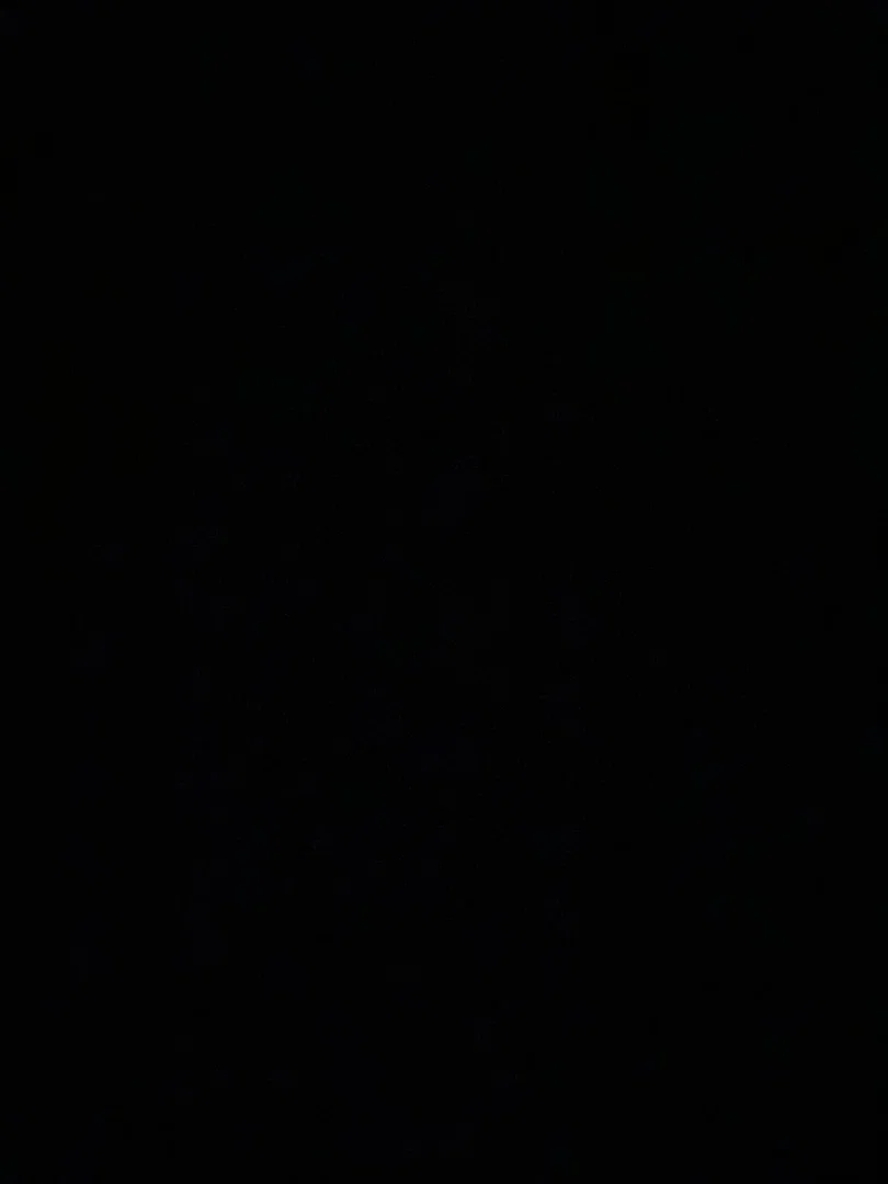 Ally profile banner