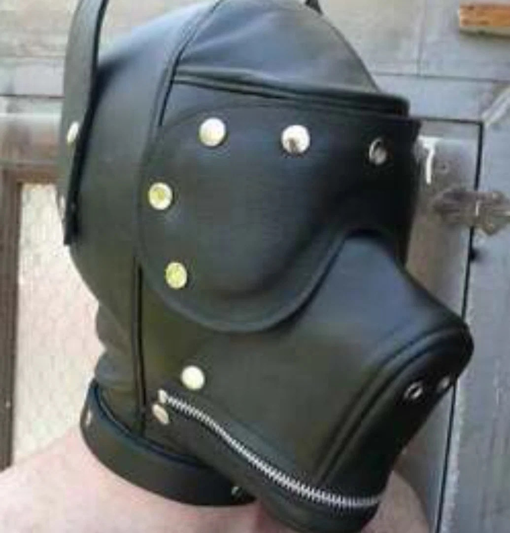 PUP3737 profile banner