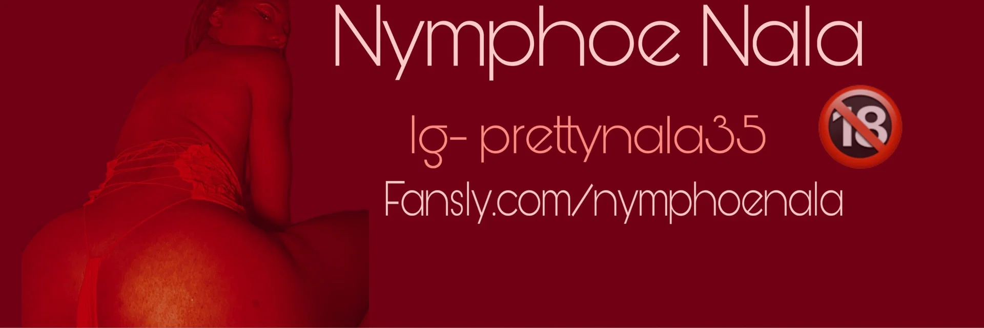 Nala π profile banner