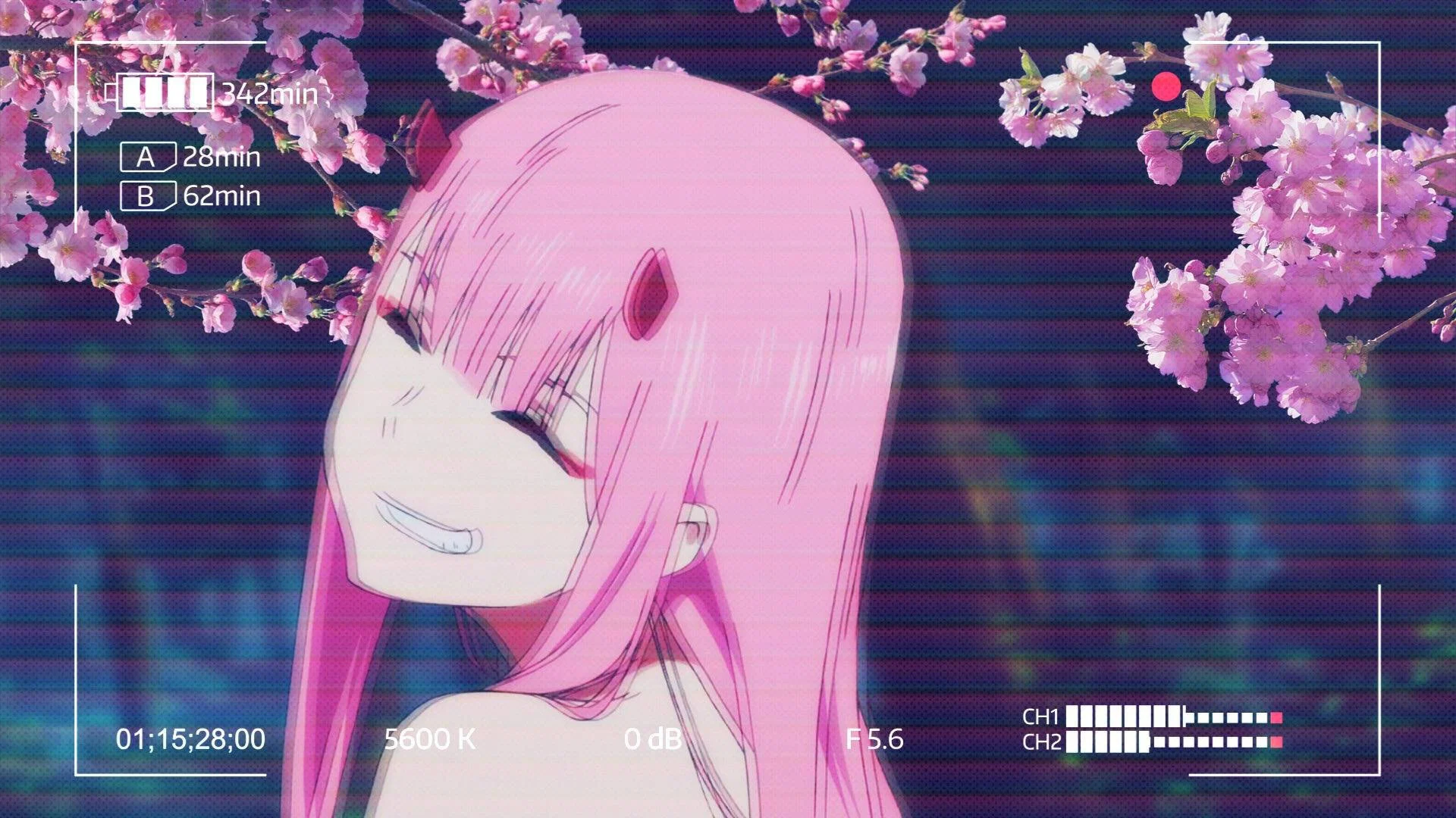 💦🌸Mediterranean Goddess🌸💦 profile banner
