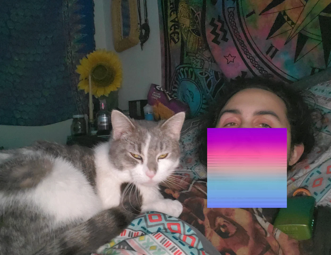 Digi-Dick profile banner