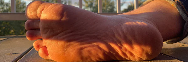 Noah profile banner