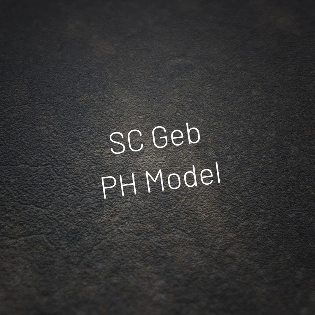 SC Geb profile banner