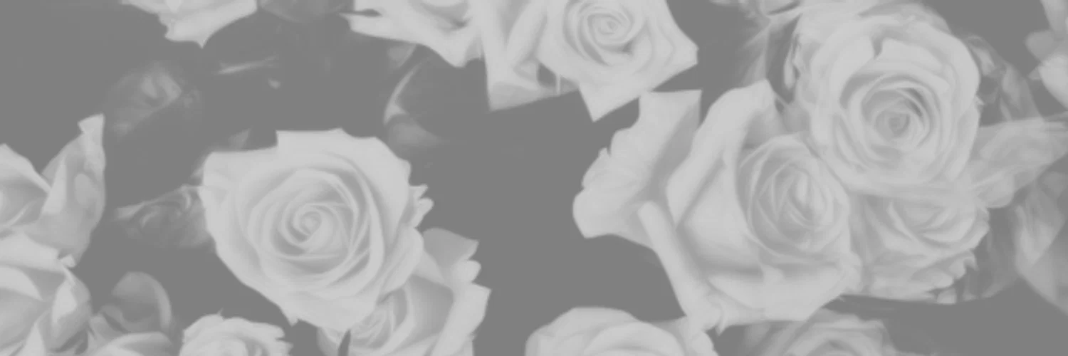 monochromatic profile banner