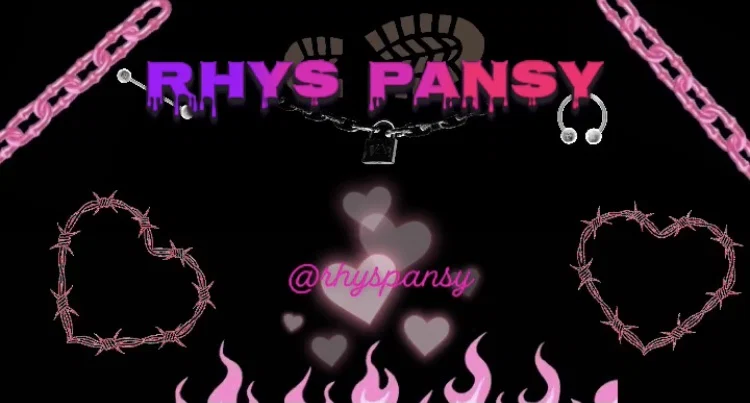 Rhys Pansy profile banner