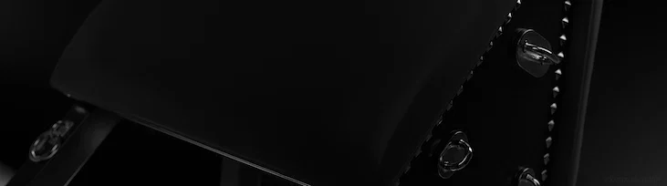 Sage Kitty profile banner