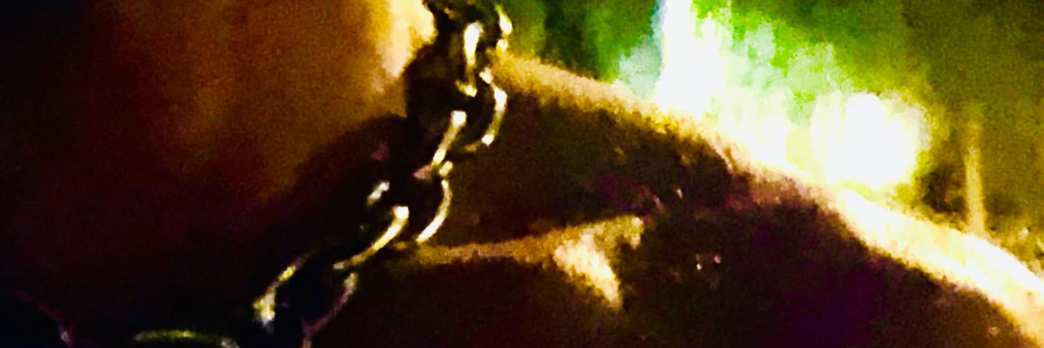 porkchop profile banner