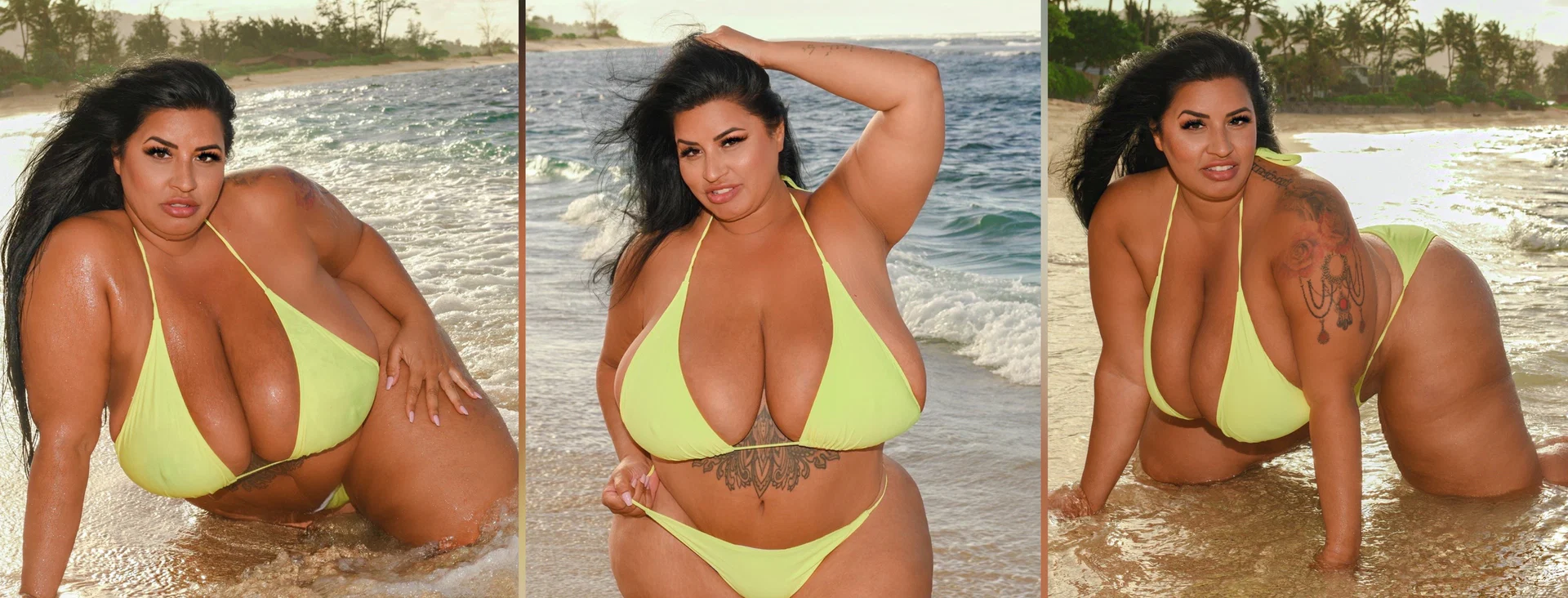 Sofia Rose profile banner